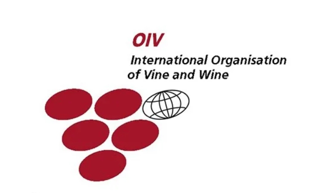OIV:全球葡萄酒产量和消费量降至几十年来最低水平-XK星空体育网