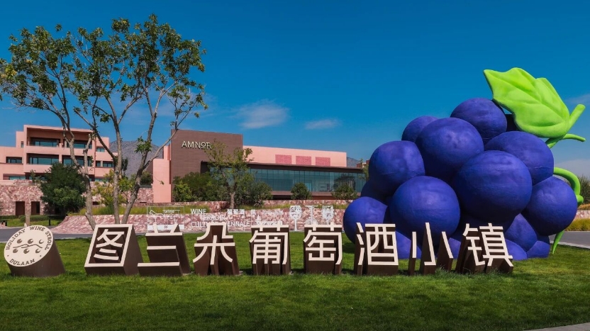 2025首届葡萄酒风土文化双年展在宁夏启幕-XK星空体育网